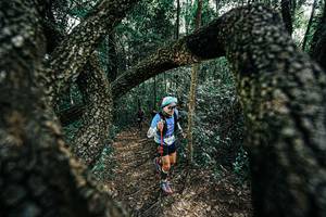 BIB: 
                            <button type="button" onclick="openModal(25392091)" class="btn btn-primary btn-sm float-right btn-popup" data-toggle="modal" data-target=".modal-high-quality">
                        <i class="fas fa-shopping-cart"></i> Add to Cart
                    </button>
                                            <button type="button" onclick="isThisMe(25392091, true)" class="btn btn-success btn-sm float-right btn-popup btn-isme hidden" data-toggle="tooltip" data-placement="bottom" title="นี่คือรูปของคุณใช่ไหม คลิกที่นี่เพื่อเอาเข้าอัลบั้ม">
                        <i class="fas fa-plus"></i> Add to album
                    </button>
                    <button type="button" onclick="isThisMe(25392091, false)" class="btn btn-warning btn-sm float-right btn-popup btn-isnotme hidden">
                        <i class="fas fa-ban"></i> Remove from album
                    </button>